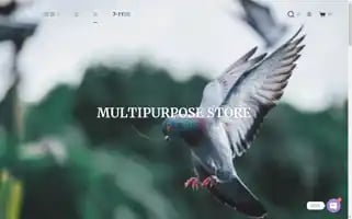 Weijun.pro Screenshot 2024-05-26 23:26:17