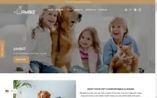 Ambiz.store Screenshot 2024-05-03 22:57:24