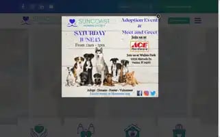 Humane.org Screenshot 2024-06-13 06:51:47