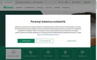 Fortum.fi Screenshot 2024-07-02 05:18:09