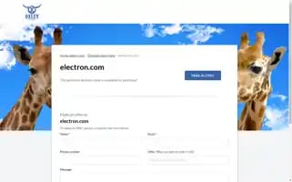 Electron.com Screenshot 2024-06-28 10:41:39