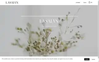 Lasaian.com Screenshot 2024-05-23 14:42:40
