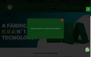 Evabrasil.com.br Screenshot 2024-06-11 13:42:49