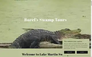 Borelsswamptours.com Screenshot 2024-04-15 19:09:49
