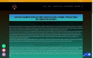 Psychonauts-home.com Screenshot 2024-05-18 21:50:39