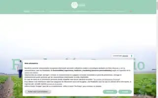 Fundacioningenio.com Screenshot 2024-07-09 05:57:08