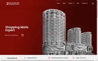 Risemarketingconsultants.com Screenshot 2024-05-17 03:23:48