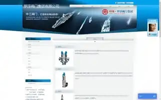Lfzg-valve.com Screenshot 2024-07-07 10:51:09