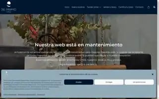 Delparamovintage.com Screenshot 2024-06-12 11:24:55