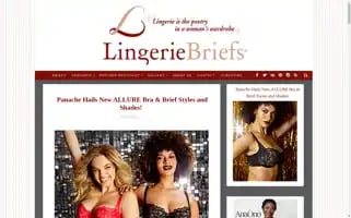Lingeriebriefs.com Screenshot 2024-07-04 04:15:15