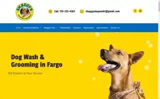 Shaggysdogwash.com Screenshot 2024-05-16 16:56:15