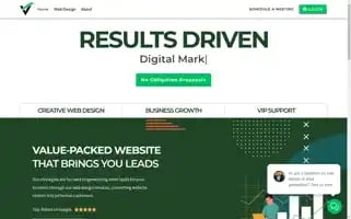 Vybedigitalmarketing.com Screenshot 2024-06-13 12:41:55