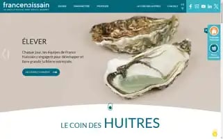 Francenaissain.com Screenshot 2024-06-29 02:36:22