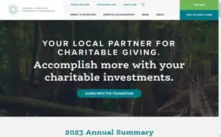 Yourfoundation.org Screenshot 2024-06-13 21:11:49