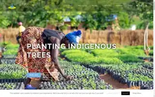 Wellsforzoe.org Screenshot 2024-06-17 11:34:31