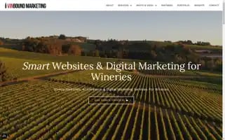 Vinboundmarketing.com Screenshot 2024-06-29 15:29:26