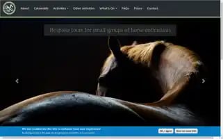 Cotswoldhorsetours.co.uk Screenshot 2024-04-14 20:34:35