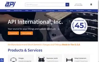 Apiint.com Screenshot 2024-06-13 22:59:30
