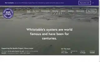 Whitstable.rocks Screenshot 2024-06-11 21:34:10