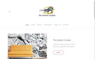 Velvetcricket.com Screenshot 2024-06-30 06:46:59