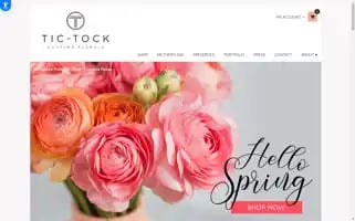 Tictock.com Screenshot 2024-07-05 05:33:16