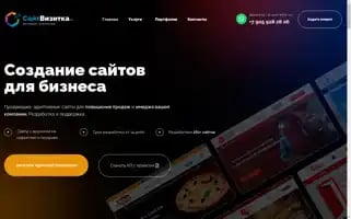 Caitvizitka.ru Screenshot 2024-06-15 13:35:11