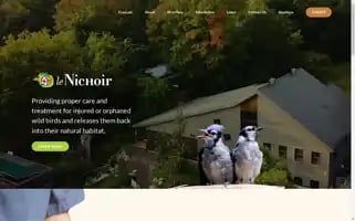 Lenichoir.org Screenshot 2024-07-03 15:48:12