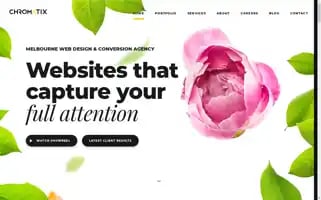 Chromatix.com.au Screenshot 2024-06-27 19:39:46