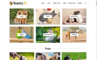 Bubblypet.com Screenshot 2024-06-15 13:29:22