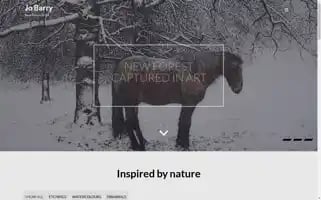 Jobarry.co.uk Screenshot 2024-06-15 01:15:23