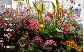 Theurbanflowerfirm.com Screenshot 2024-06-12 14:57:41