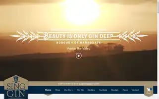 Singgin.com Screenshot 2024-06-12 03:50:36