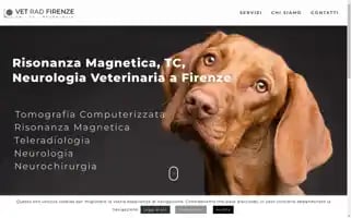 Vetradfirenze.it Screenshot 2024-05-14 21:02:58