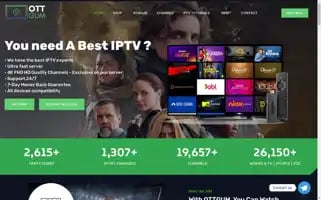 Ottgum.com Screenshot 2024-05-24 10:51:40