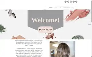 Precisionstyling.ca Screenshot 2024-05-13 11:46:28