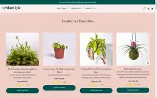 Verdantlyfe.com Screenshot 2024-05-05 11:37:32