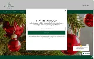 Citytreedelivery.com Screenshot 2024-05-04 21:53:33