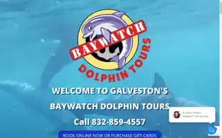 Baywatchdolphintours.com Screenshot 2024-04-25 16:55:10
