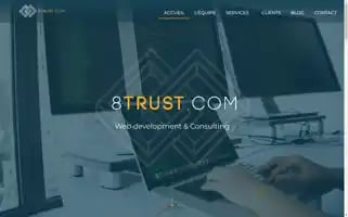 8trust.com Screenshot 2024-07-01 08:37:55