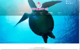 Hawaiitou-tours.com Screenshot 2024-04-26 05:03:34