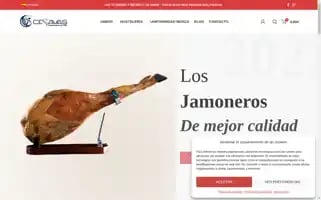 Cesavas.com Screenshot 2024-06-18 23:53:48