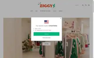 Ziggystore.com Screenshot 2024-04-27 07:31:52