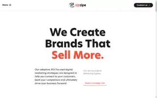 Zipzipe.com Screenshot 2024-06-17 07:03:02