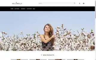 Chicwomen-us.com Screenshot 2024-05-26 00:55:47