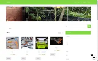 Medaka.sale Screenshot 2024-05-22 07:43:23