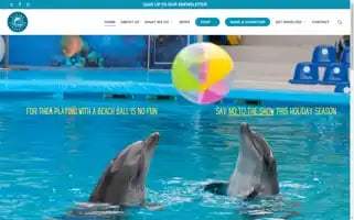 Marineconnection.org Screenshot 2024-07-03 14:39:50