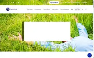 Cksegur.com Screenshot 2024-06-28 05:13:58