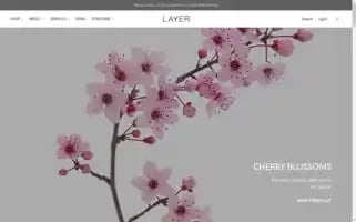 Layerny.com Screenshot 2024-05-05 09:36:15