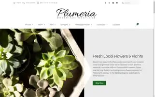 Plumeriami.com Screenshot 2024-06-12 13:26:43