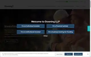 Downing.co.uk Screenshot 2024-06-30 21:15:48